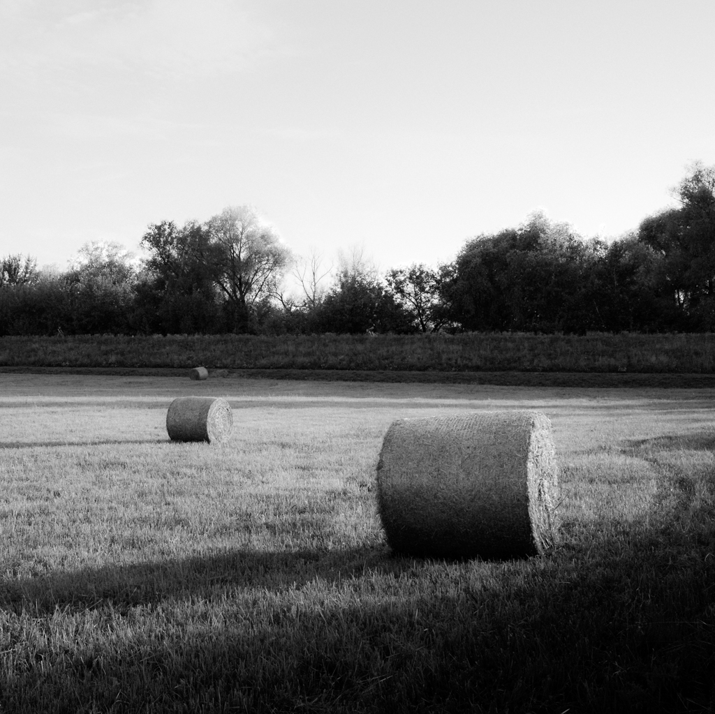 Monochromatyczne kwadraty - Bale siana