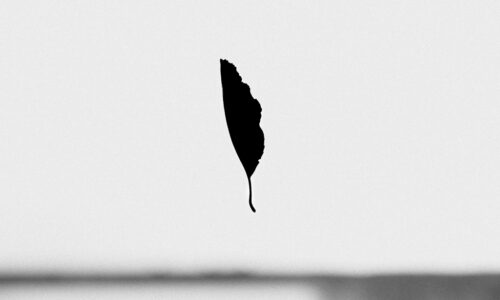 Monochromatyczne Kwadraty