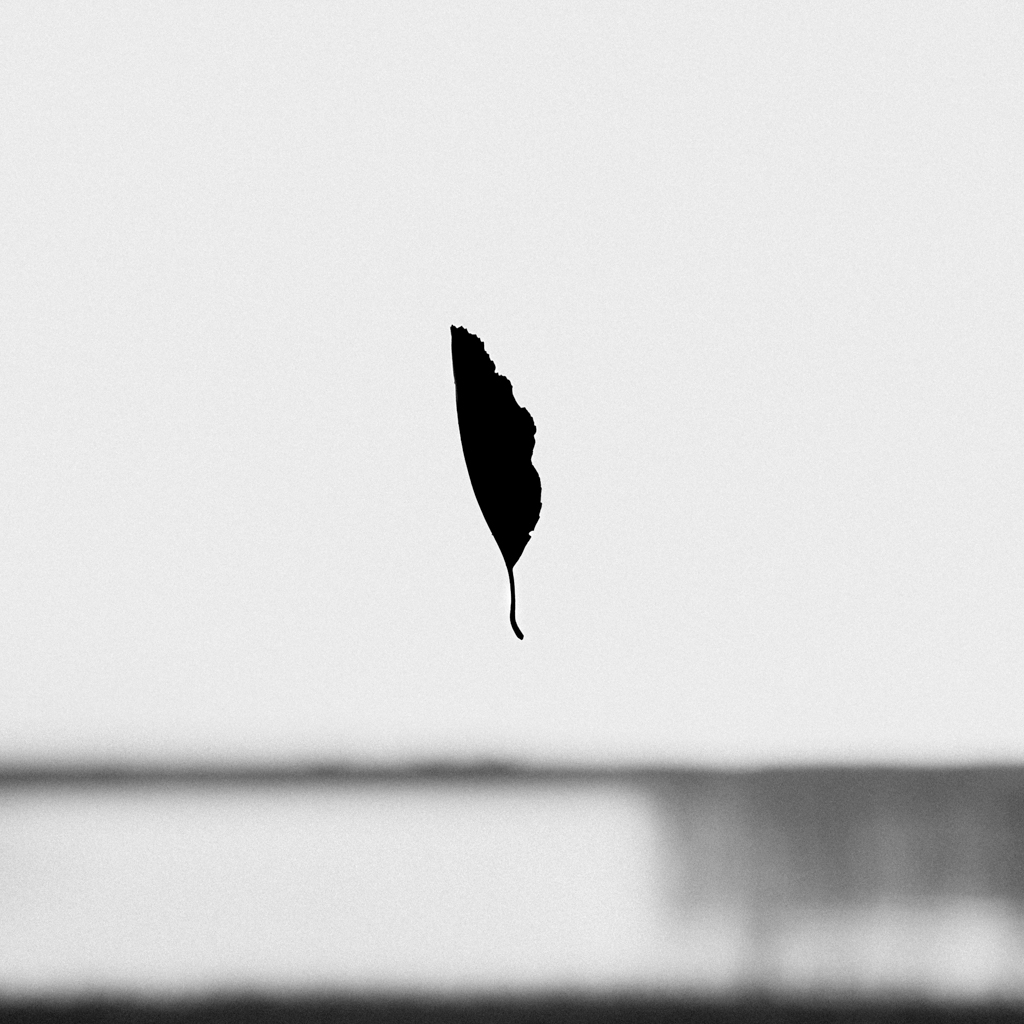 Monochromatyczne Kwadraty