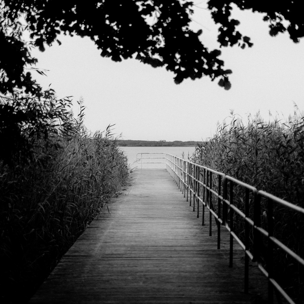 Monochromatyczne kwadraty - Pomost w Koszelówce