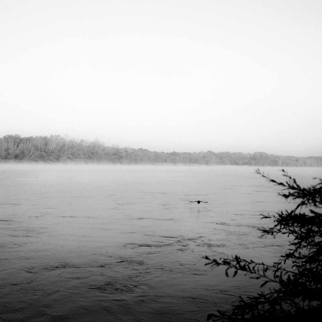 Monochromatyczne kwadraty - mgła na Wiśle