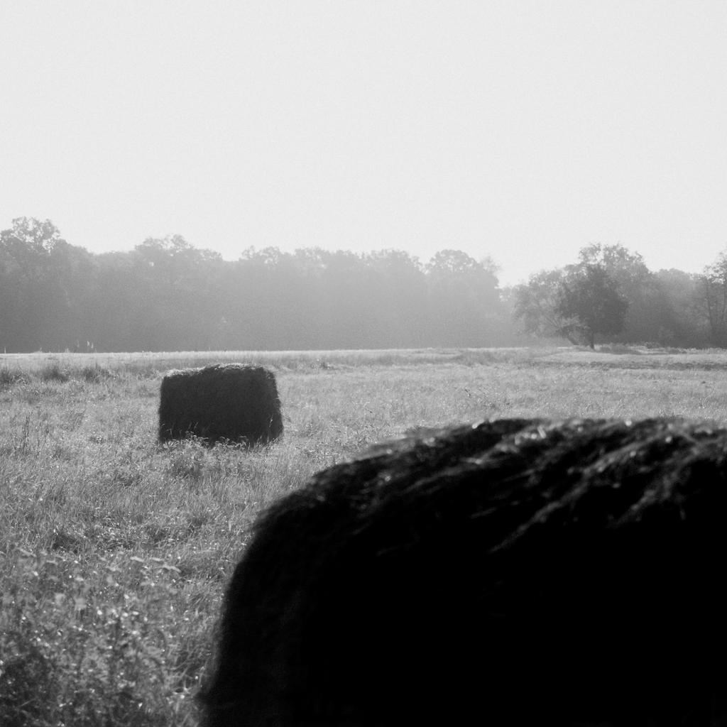 Monochromatyczne kwadraty - Bale siana #2