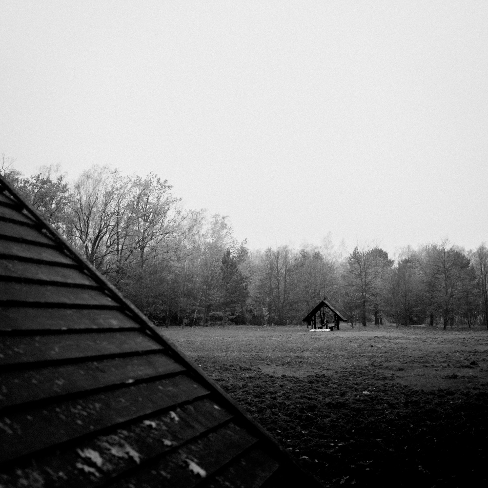 Monochromatyczne kwadraty - Polana w Kampinosie