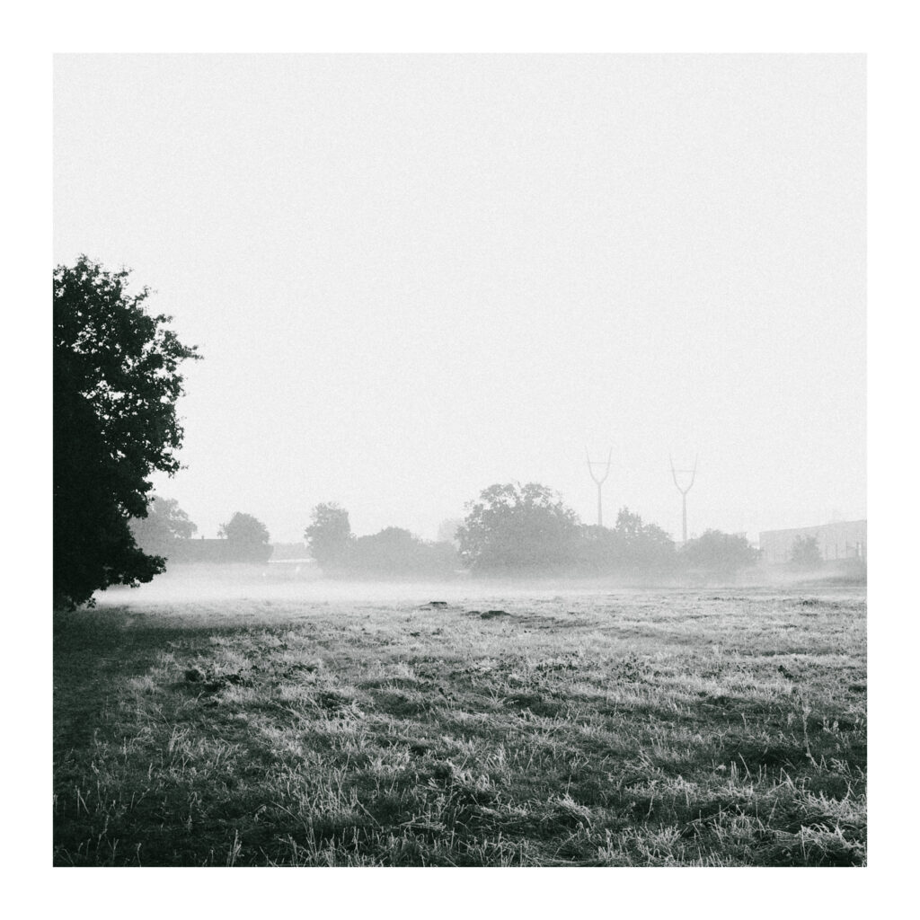 Ricoh GR IV - mglisty poranek
